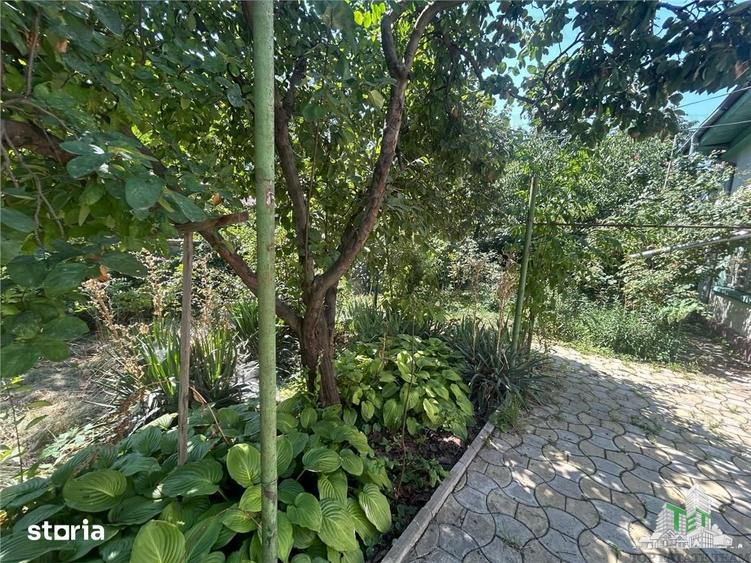 Vanzare teren cu casa Damaroaia - 12