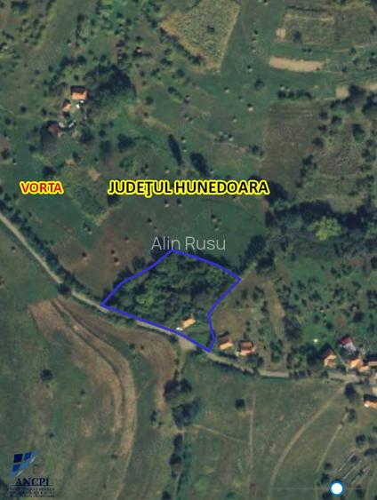 Casa + teren Certeju de Jos, Comuna Vorta ( Hunedoara)