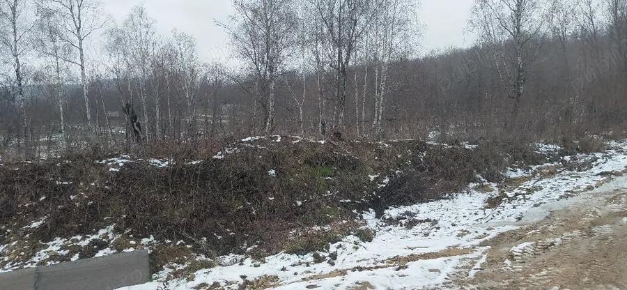 Teren de 3850 mp, în Baia de Fier
