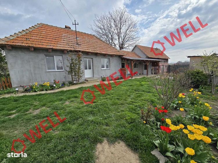 Casă cu Teren 1493 Mp în Ozun