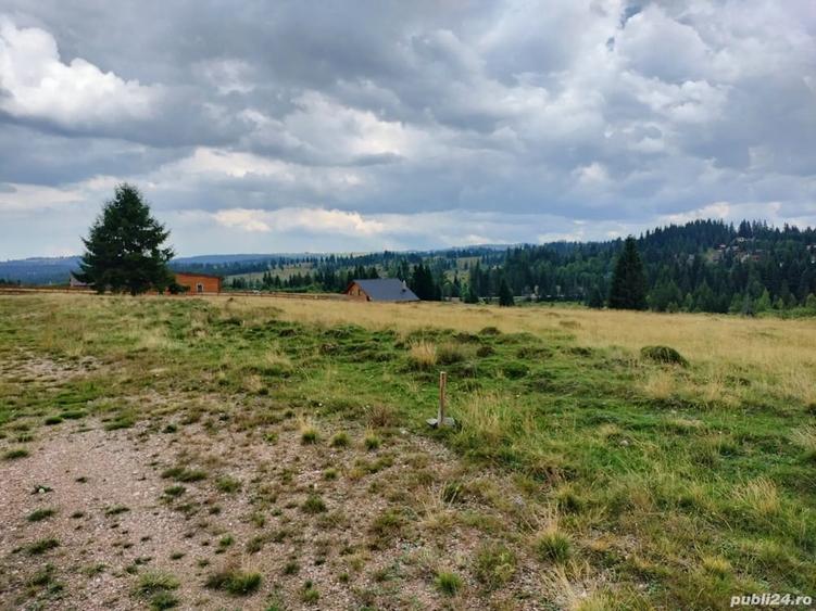 Teren de 1000 mp, în Beliș