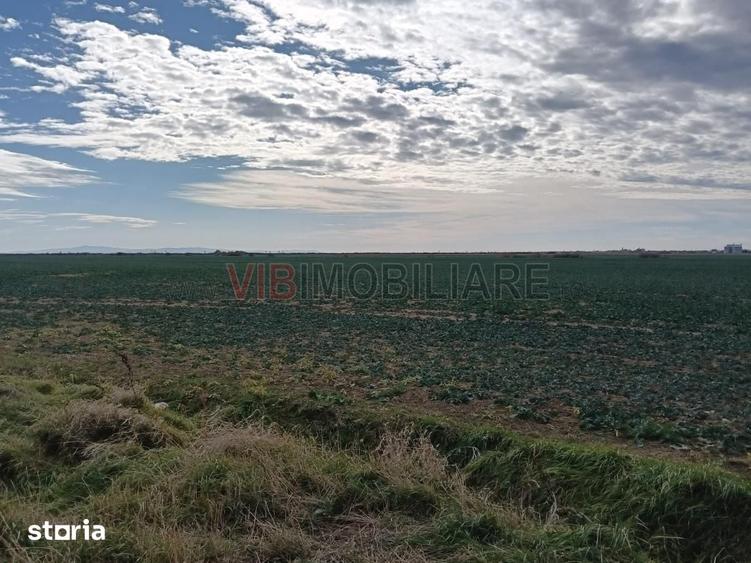 Teren de 13500000 mp, în Central