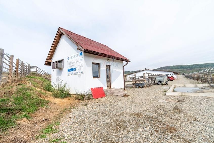 Spațiu industrial, de 2,116.5 mp, în Curtuiușu Dejului