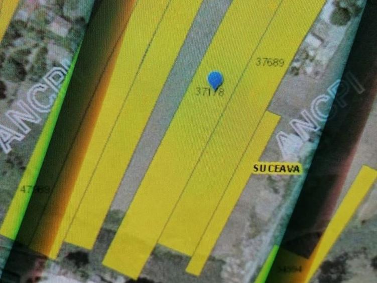 Casă individuală cu 5 camere cu Teren 6000 Mp în Burdujeni