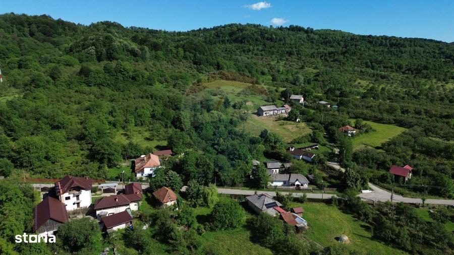 Casa de vanzare in natura la tara - Mihaesti - 3