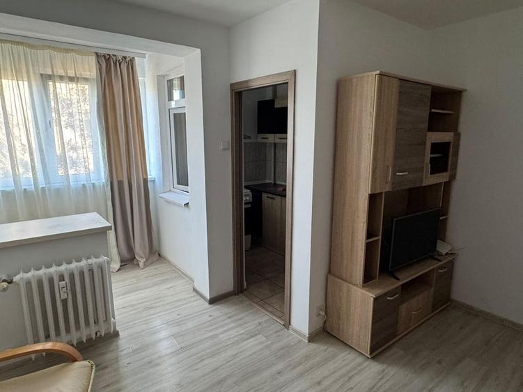 Garsonieră în Brazda lui Novac