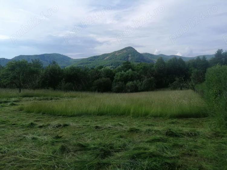 Teren intravilan in Baia Sprie, Dragos Voda - 4