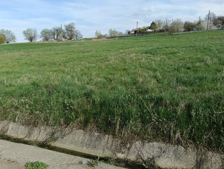 Teren de 2000 mp, în Zvoriștea