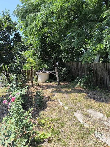 Casă cu Teren 1116 Mp în Bâra