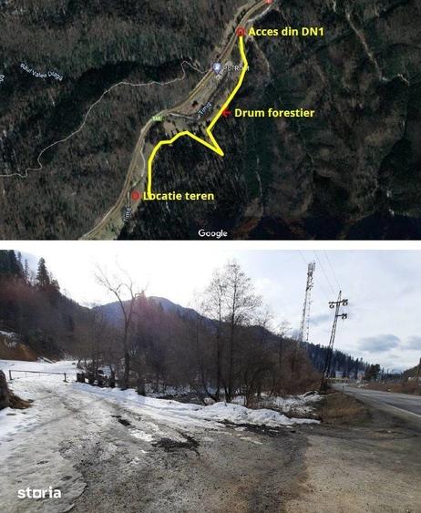 Teren de 4500 mp, în Est