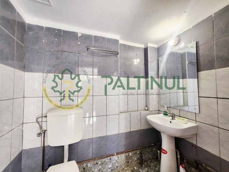 Casă individuală cu 2 camere cu Canalizare în Nucet