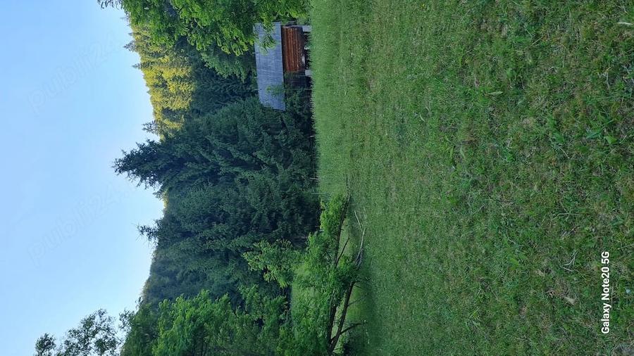 Teren de 9280 mp, în Scărișoara