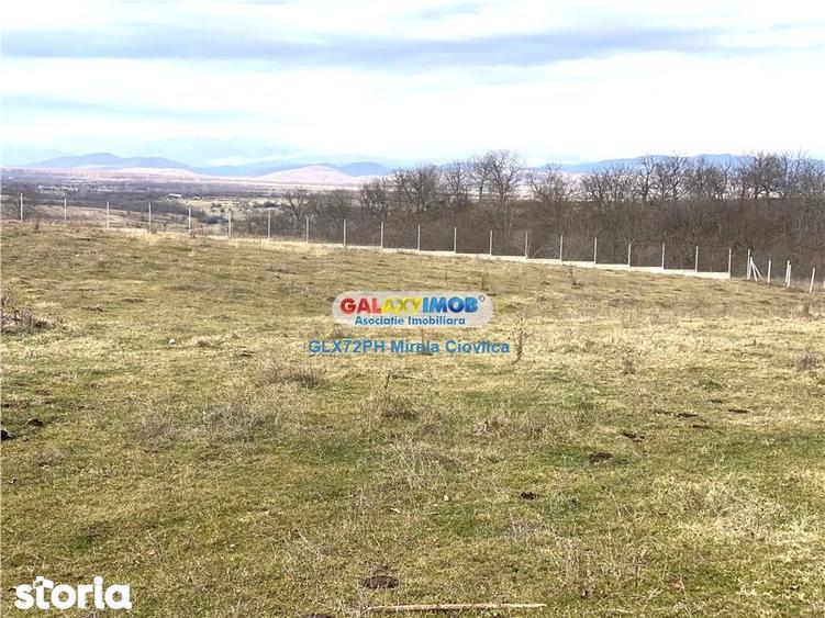 Teren de 4000 mp, în Central