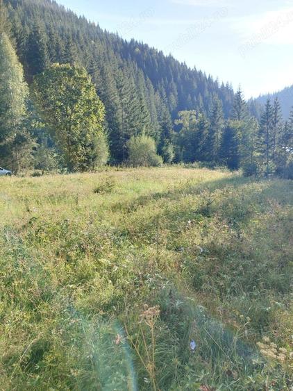 Teren de 3800 mp, în Capu Corbului
