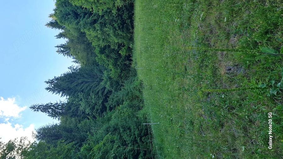 Teren de 9280 mp, în Scărișoara
