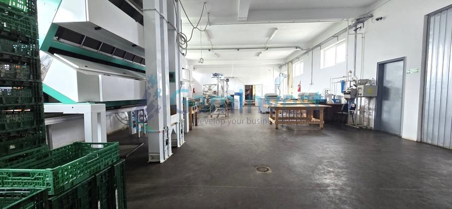 Spațiu industrial, de 560 mp, în Apateu