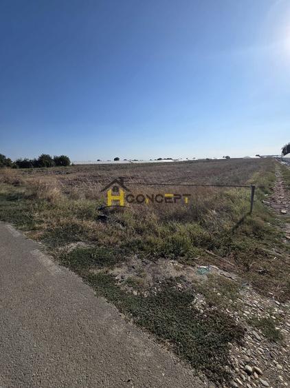 Teren Construcții intravilan de 10000 mp, în Câmpurelu