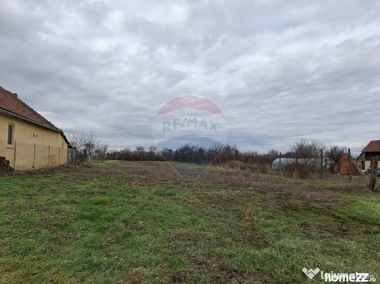 Teren în Frumușeni