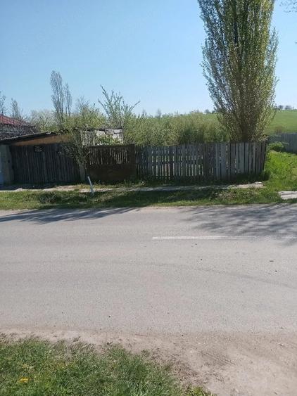 Teren de 700 mp, în Băcălești