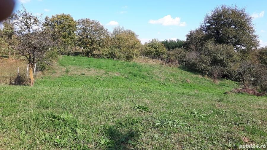Teren de 4800 mp, în Vidra