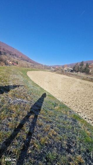 Teren de 6823 mp, în Mănești