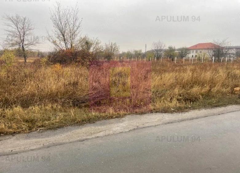 Teren Soseaua Alexandriei- Pasarela Bragadiru. - 2