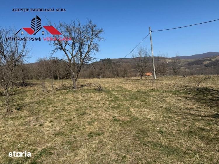Casa si anexe cu un teren de 7701 mp de vanzare in Stauini Jud Alba - 5