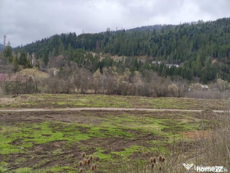 Teren de 22600 mp, în Sucevița