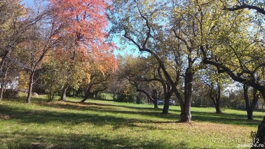 Teren de 9081 mp, în Crăcăoani