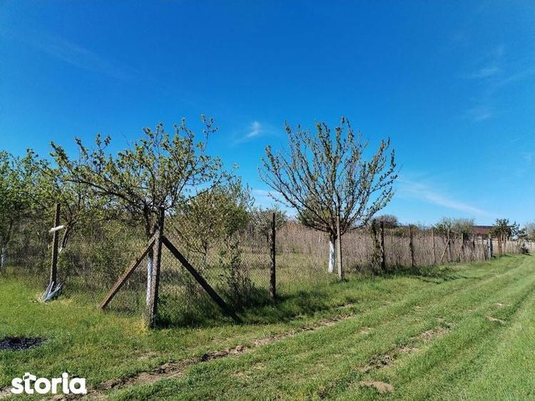 Teren de 500 mp, în Theodor Pallady