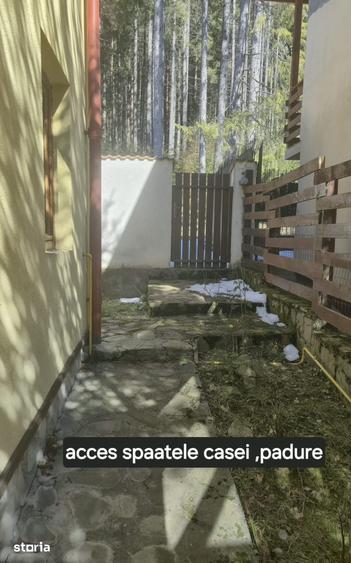 Azuga | Vila P+E+M cu acces direct catre padure Panorama Caraiman - 14
