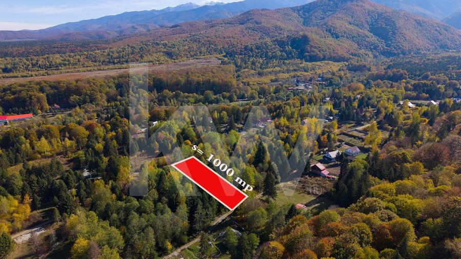 Teren Construcții intravilan de 1000 mp, în Avrig