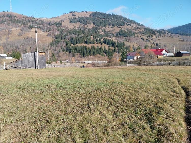 Teren de 6529 mp, în Valea Stânei