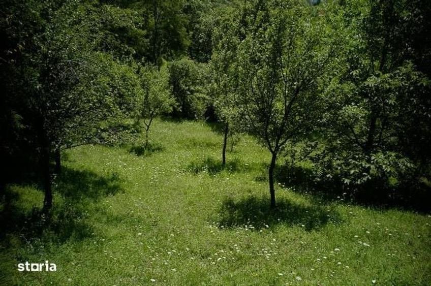 Teren intravilan Comarnic cartier Vatra sat - 14