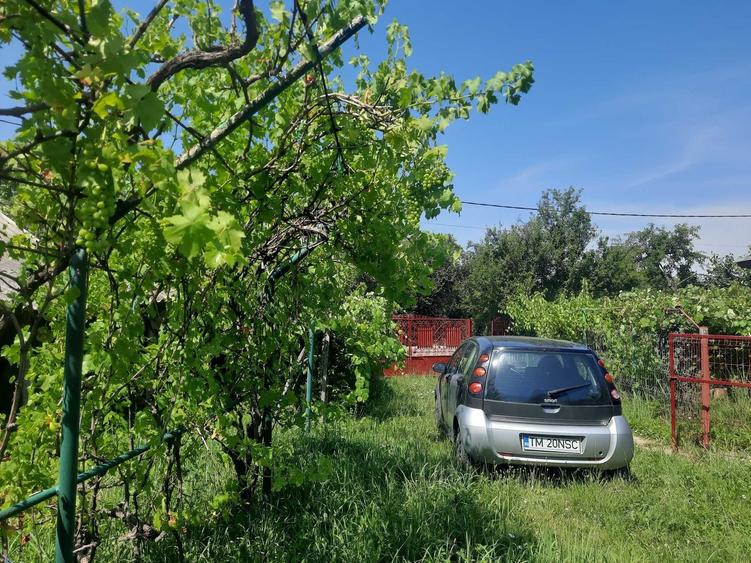 Spațiu comercial, în Gruiu