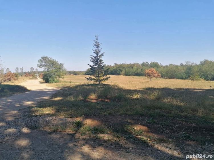 Teren de 4350 mp, în Bălteni