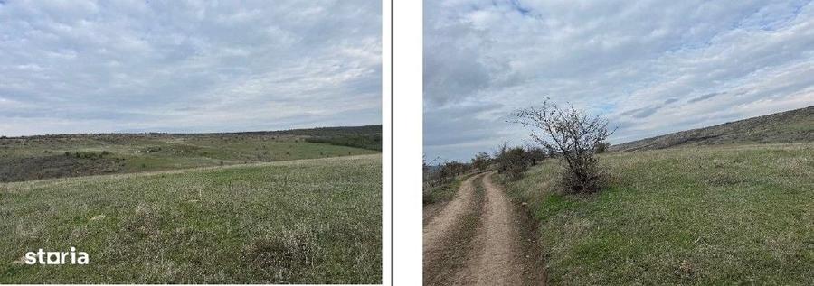 Teren de 4500 mp, în Perieni