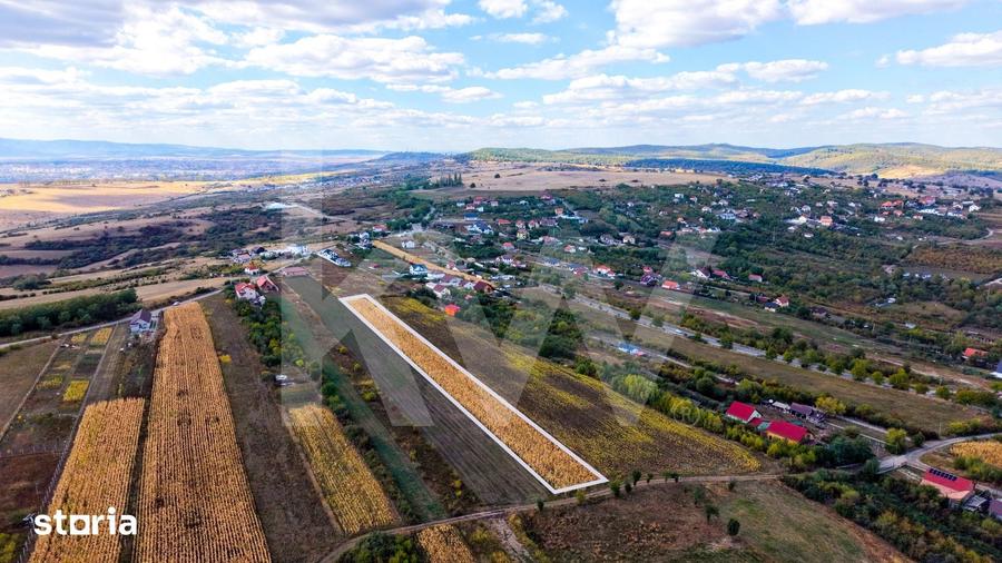 Teren de 5000 mp, în Câineni