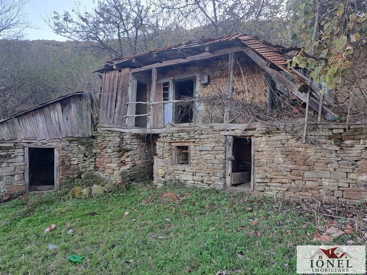 Casă individuală cu 2 camere cu Teren 17399 Mp în Valea Vințului
