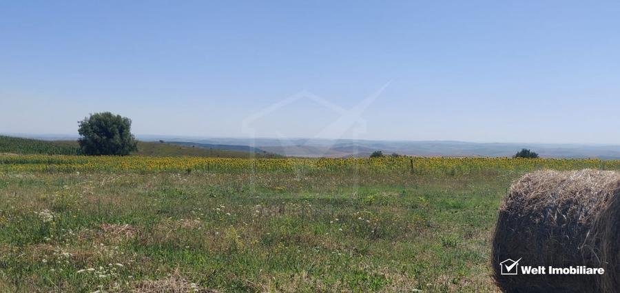Teren agricol extravilan de 2519 mp, în Aiton