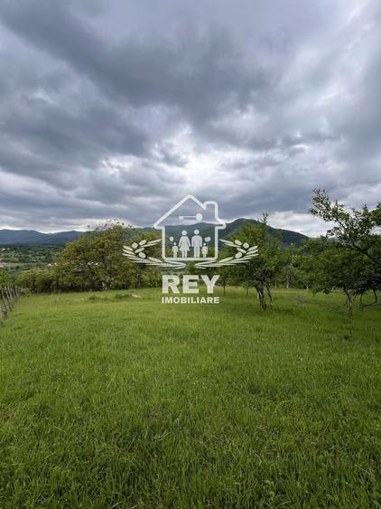 Teren Construcții intravilan de 5217 mp, în Cisnădioara
