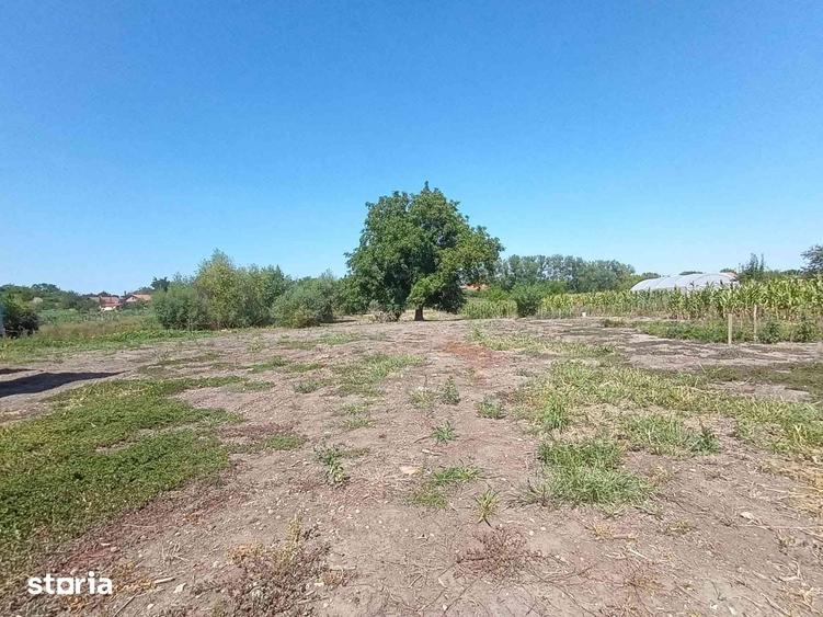 Spațiu comercial, de 700 mp, în Diosig