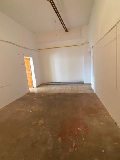 Spatiu comercial, 93 mp, Rovine - 3