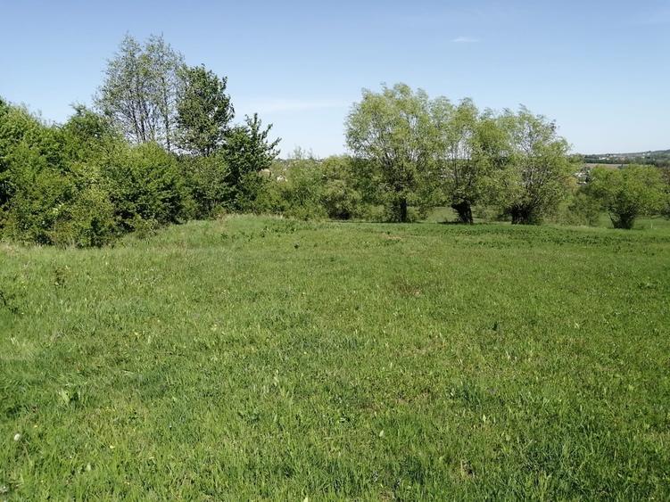 Teren de 1600 mp, în Cacica