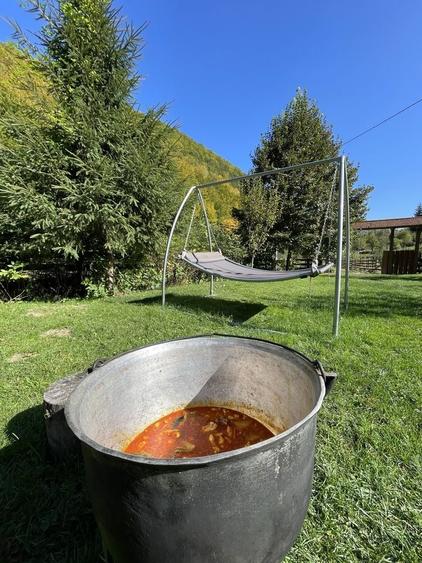 Casă cu 3 camere în Ocoliș