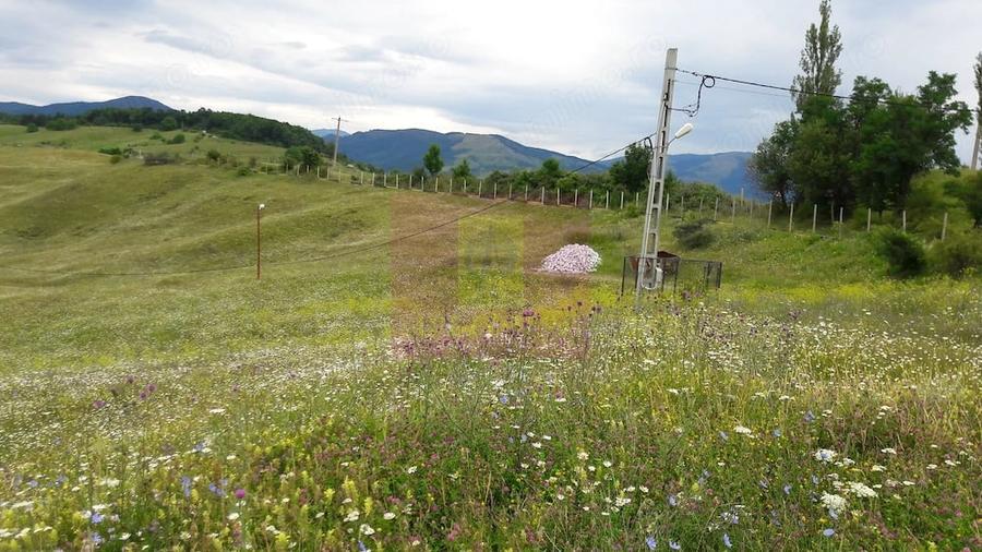 Teren de 9037 mp, în Central