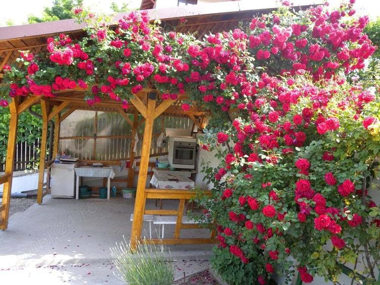 Casă cu 4 camere în Vălenii de Munte