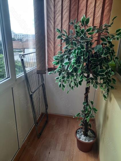 Apartament cu 3 camere semidecomandat în Central