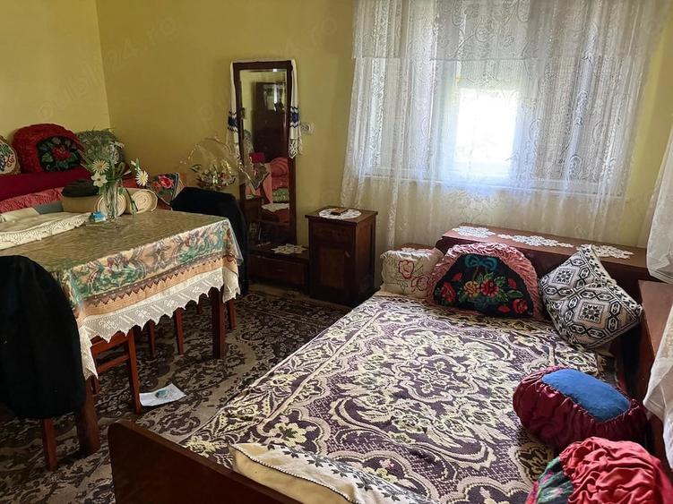 Casă cu Teren 6500 Mp în Dretea