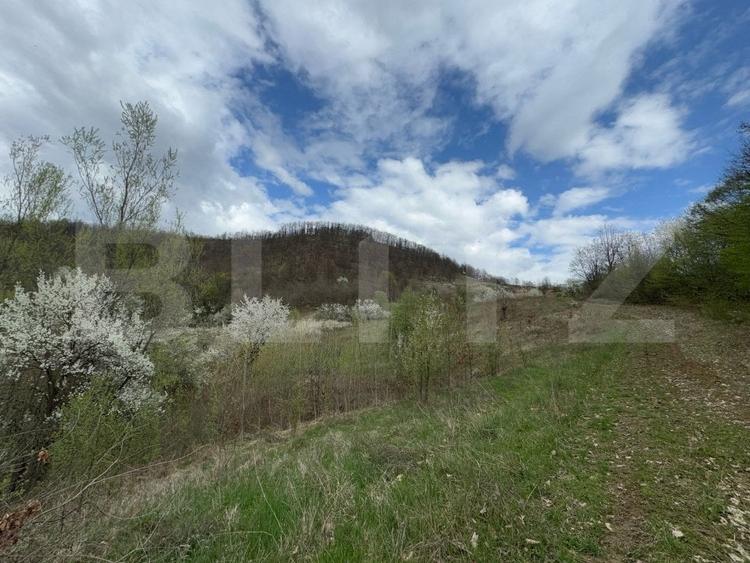Teren extravilan de 170663 mp, în Periferie